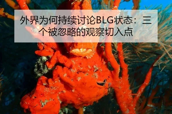 外界为何持续讨论BLG状态：三个被忽略的观察切入点